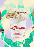 vegan ice cream dairy free guide flavors