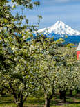 Oregon’s Best Small Town Has Mountains, Waterfalls, and Ridiculously Good Beer