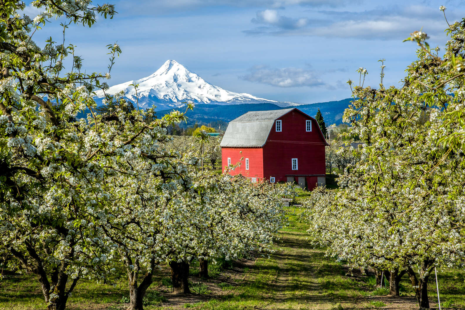 Oregon’s Best Small Town Has Mountains, Waterfalls, and Ridiculously Good Beer