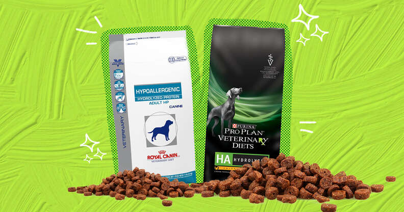 Dog food for clearance protein allergy