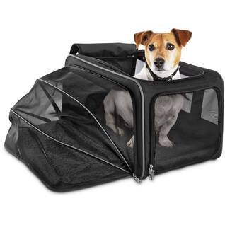 Good2go cat carrier best sale