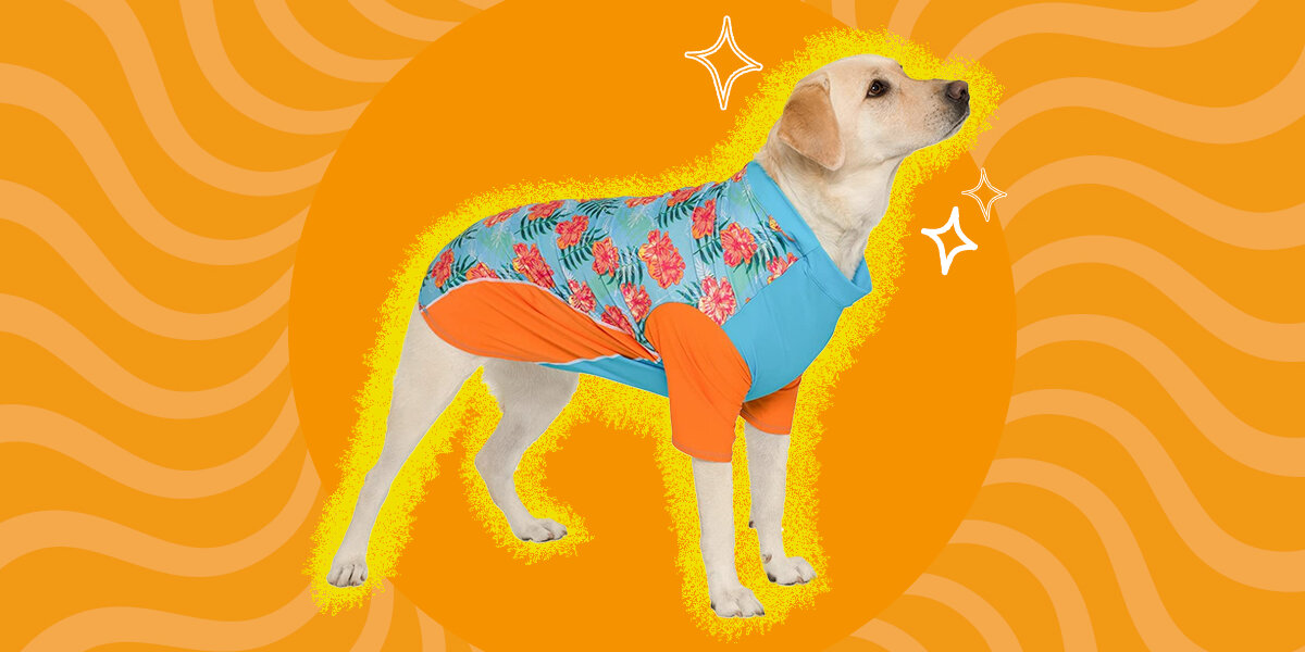 Dog sun protection sales clothing