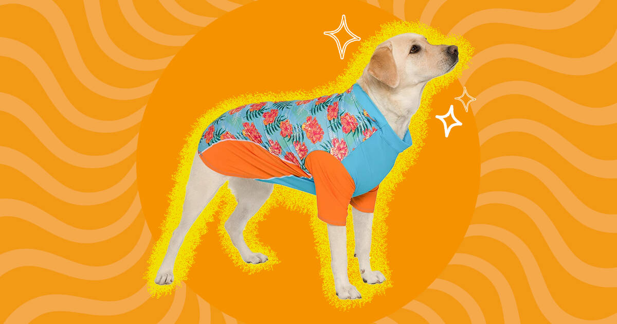 Louie de Coton Sun Shirt for Dogs & Cats | Size: S | UV Protection Cooling  T-Shirt for Pets | UPF50+ Max Protection from Sunburn | Leash Hole, Machine