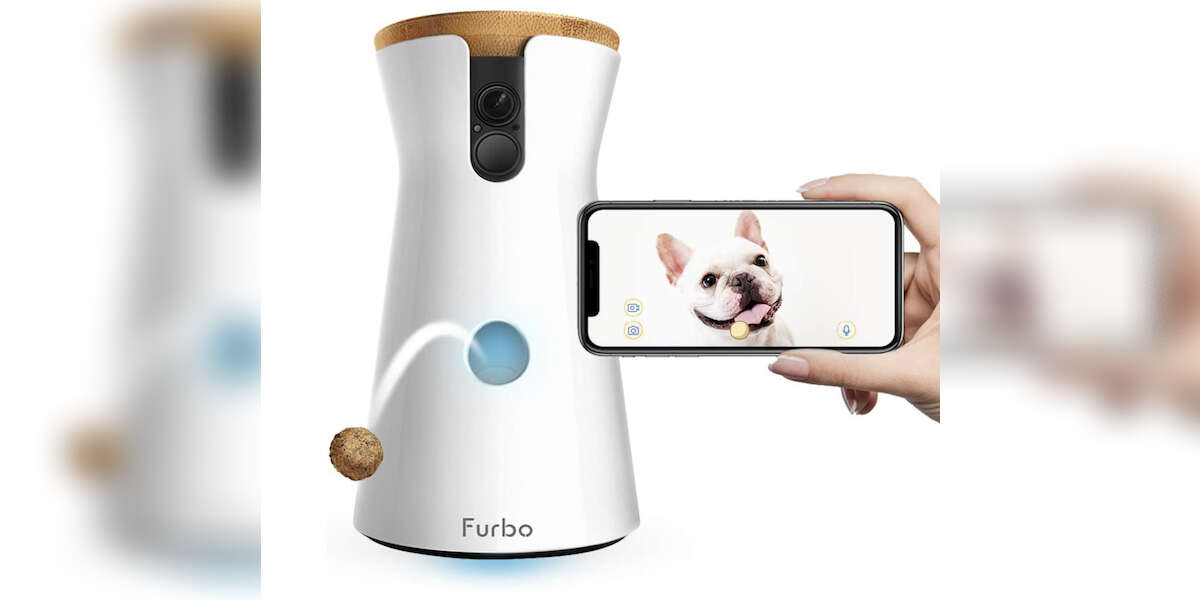 The Best Pet Cameras On Amazon In 2021 DodoWell The Dodo