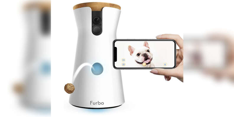 Amazon 2025 furbo camera