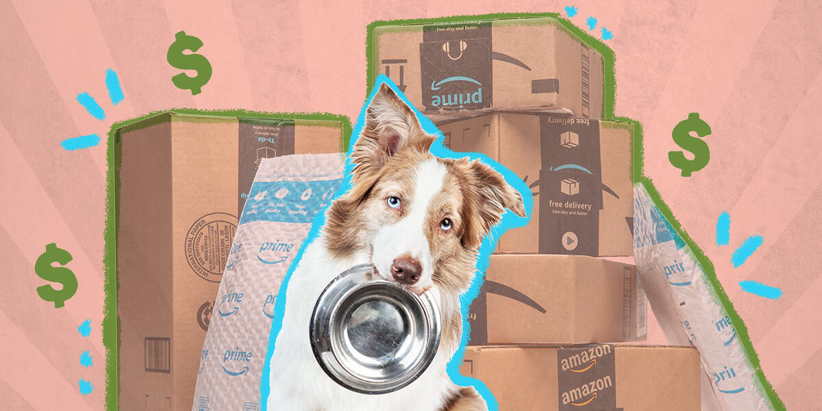 Amazon Prime Day Dog Food Deals DodoWell The Dodo