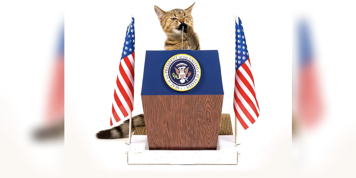 25 Funny Gifts For Cats DodoWell The Dodo 25-funny-gifts-for-cats-dodowell-the-dodo