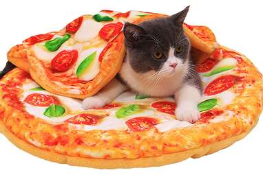 Mad Cat Pizza Purrty Play Mat for Cats