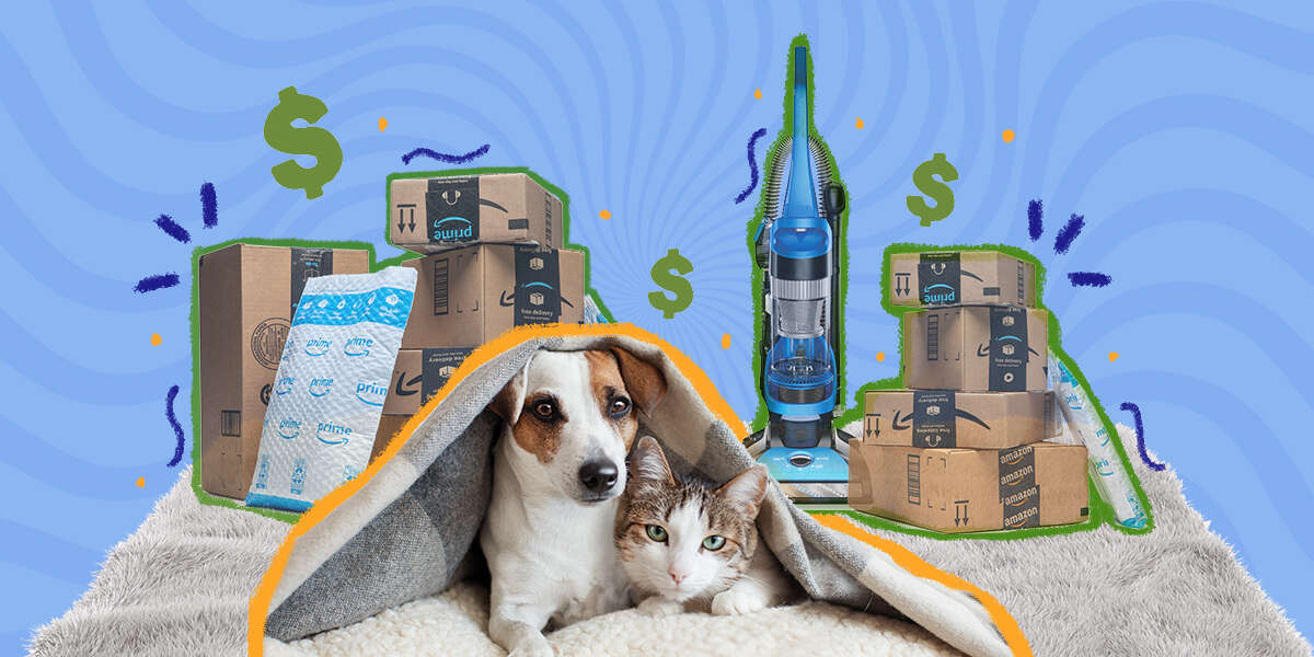 best prime day air purifier deals