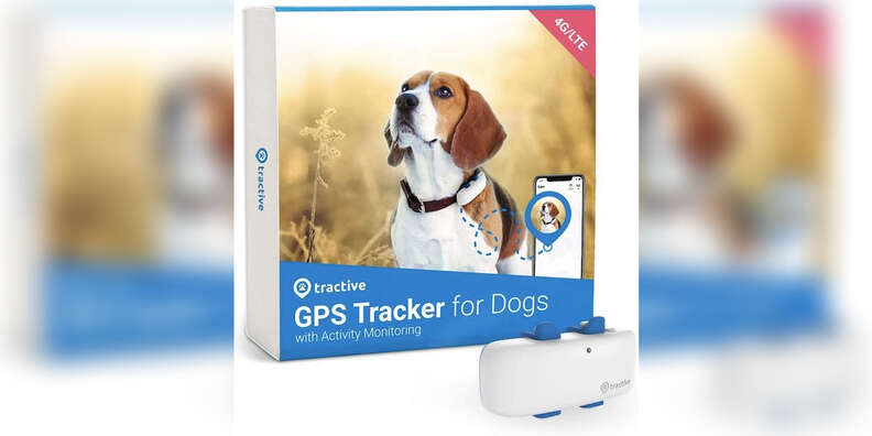 Tractive GPS Tracker For Dogs  Prime Day 2021 Sale