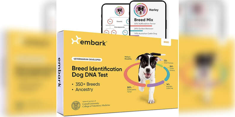 Dog shop dna sale