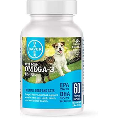 Zesty Paws Dog Supplements Are Only $20 for Prime Day – SheKnows