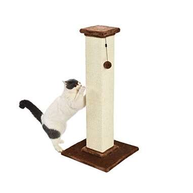 Amazon Basics Large Premium Tall Cat Scratching Post