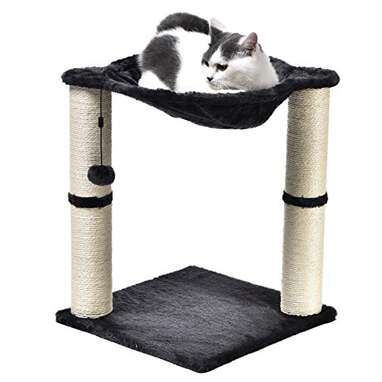 Amazon Basics Cat Condo Tree Tower With Hammock Bed