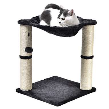 Amazon prime outlet cat scratching post