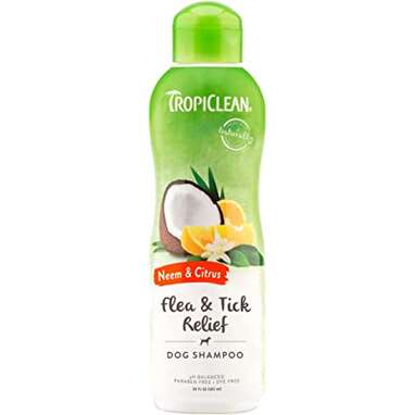 TropiClean Flea & Tick Relief Shampoo 
