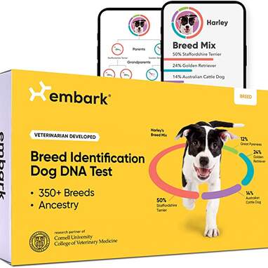 Embark Dog DNA Test