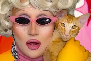 Outer Space Drag Queen Finds A Cat Who's Her Perfect Match