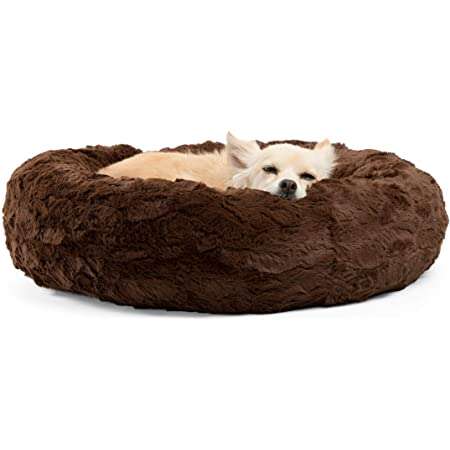 dog beds on amazon prime