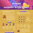 Study Guide | Human | Blood