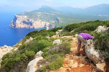person on a hill looking into a bush