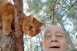 Retired Guy Rescues Over 700 Cats From Trees