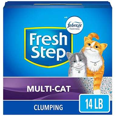 14 Best Amazon Prime Cat Litters DodoWell The Dodo