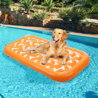 EXPAWLORER Inflatable Dog Pool Float
