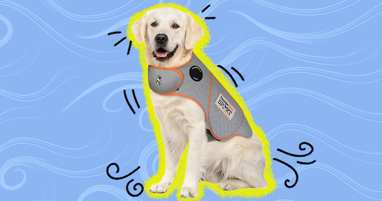 These Vests Will Calm Your Dog’s Anxiety DodoWell The Dodo