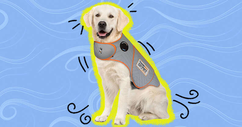 SPORTS Hug-A-Dog Harness