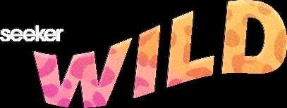 Seeker Wild logo