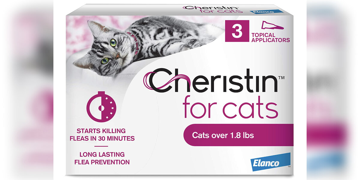 Cheapest flea treatment top for cats