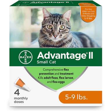 Safest flea outlet medication for cats