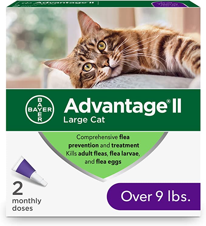 Best inexpensive flea treatment for cats sale