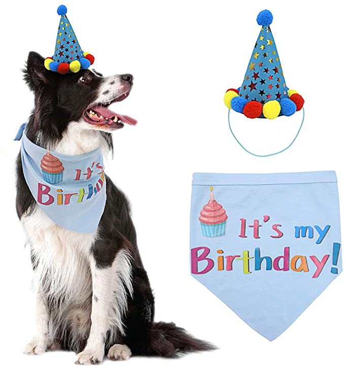 Dog first hotsell birthday outfit