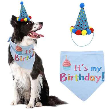 Dog 2024 birthday clothes