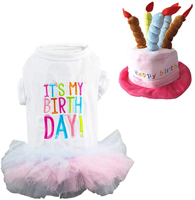 Puppy best sale birthday outfit