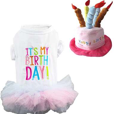 Birthday dresses for dogs online