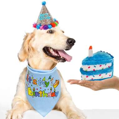 HOMIMP Dog Birthday Bandana Set with Cake