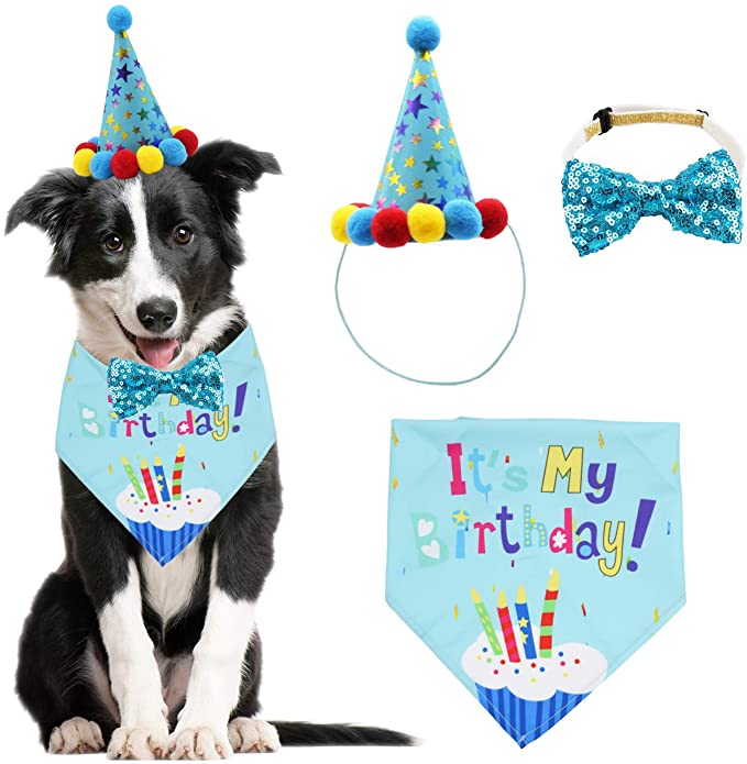 Dog birthday sales outfit uk