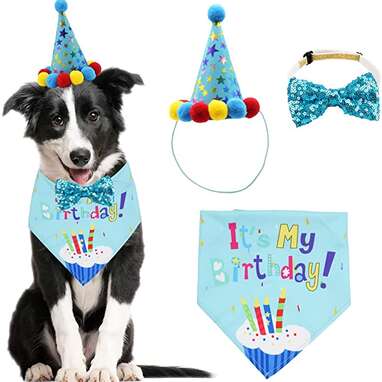 Dog 1st clearance birthday outfit boy