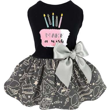 Bluey Tutu outfit, dog Birthday outfit