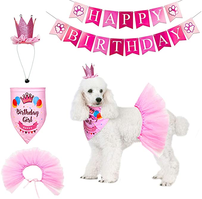 Dog first 2025 birthday outfit