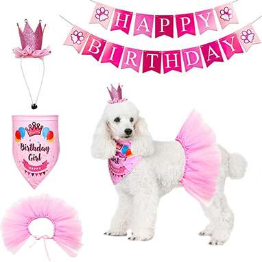 Dog birthday dresses hotsell