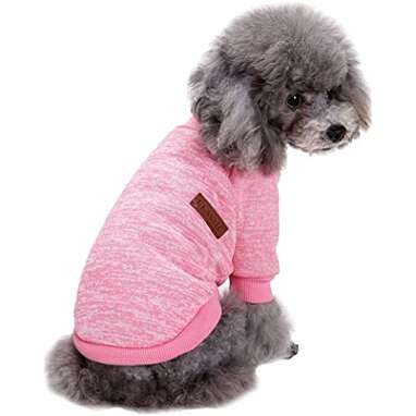 12 Best Dog Clothes On Amazon, According To Reviewers - DodoWell - The Dodo