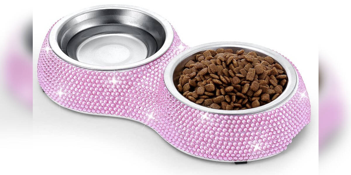 Covered cat food store bowl