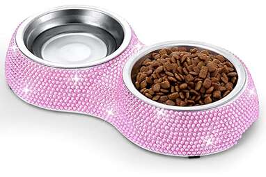 10 Adorable Kitten Bowls From Amazon That Are Almost Too Cute