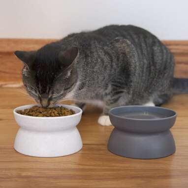 Kitty City Raised Cat Food Bowls
