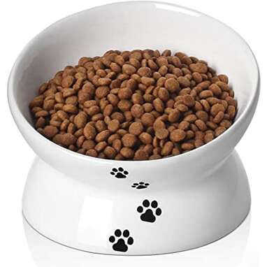 Y YHY Raised Cat Food Bowl