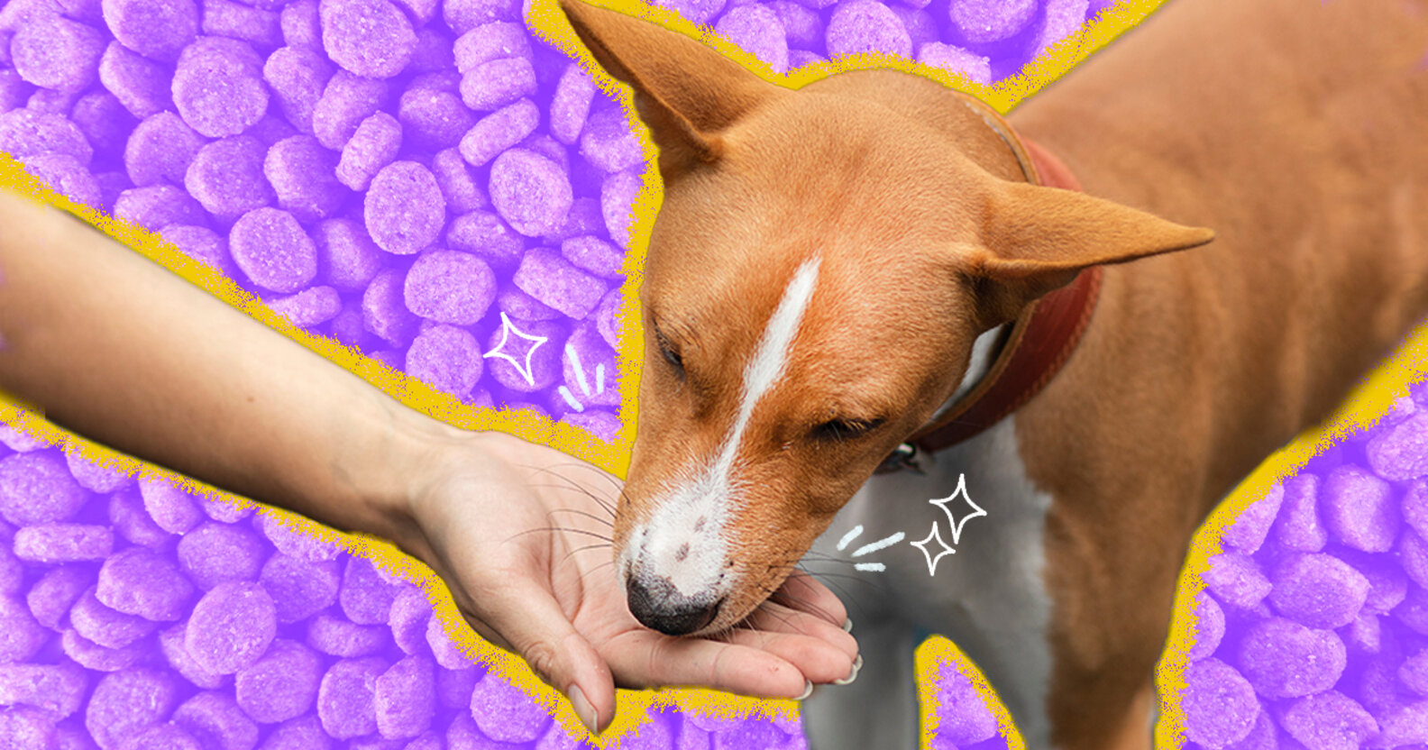 Best Puppy Training Treats, According To Trainers DodoWell The Dodo